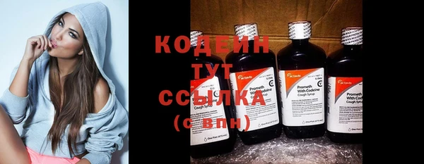 мдпв Ладушкин