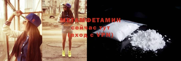 мдпв Ладушкин