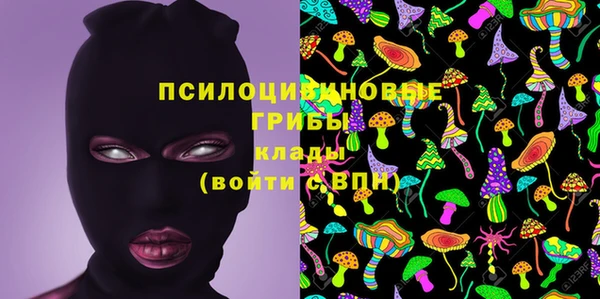 гидропоника Лагань