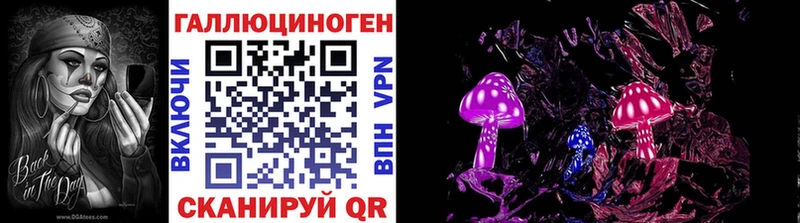 Купить где  Камышлов  Псилоцибиновые грибы GOLDEN TEACHER 